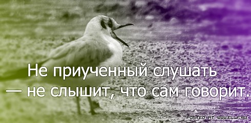 ����� ������