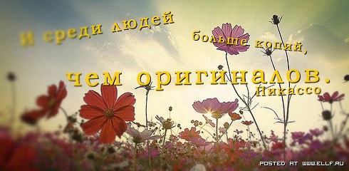 ����� ������