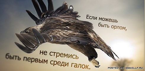 ����� ������