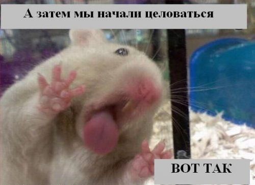 ����� ��������