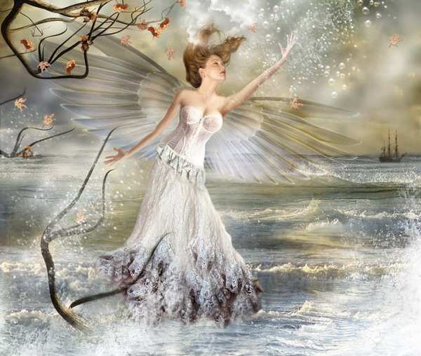 Gale Frane