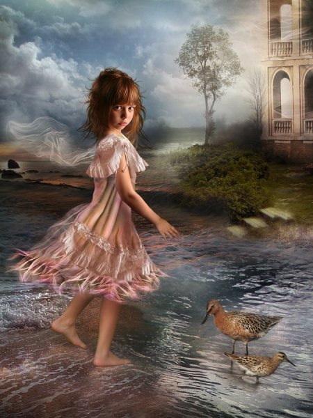 Gale Frane