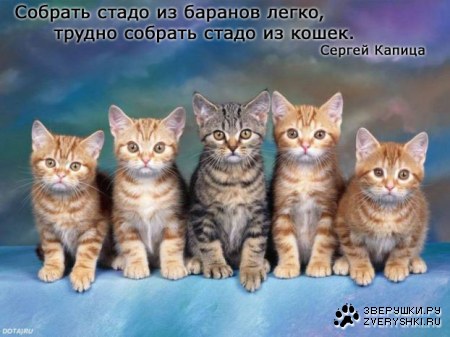 ��� ������ � ������