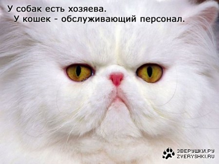 ��� ������ � ������
