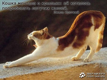 ��� ������ � ������