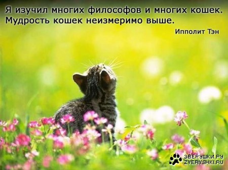 ��� ������ � ������