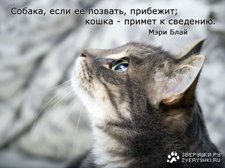 ��� ������ � ������