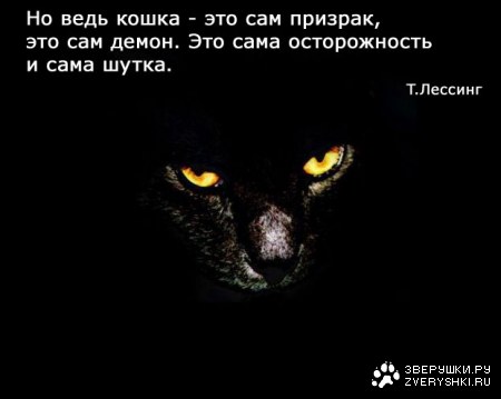 ��� ������ � ������