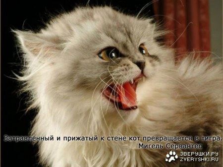 ��� ������ � ������