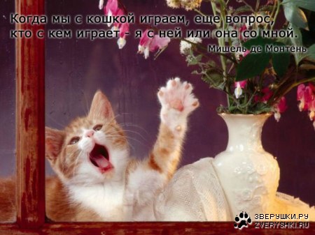��� ������ � ������