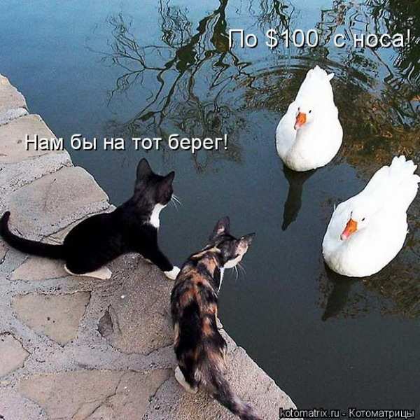����