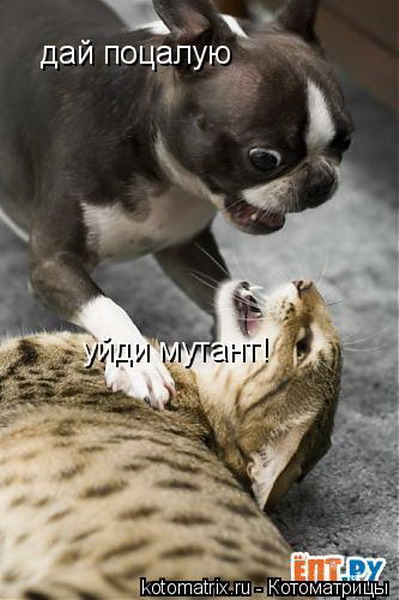 ����