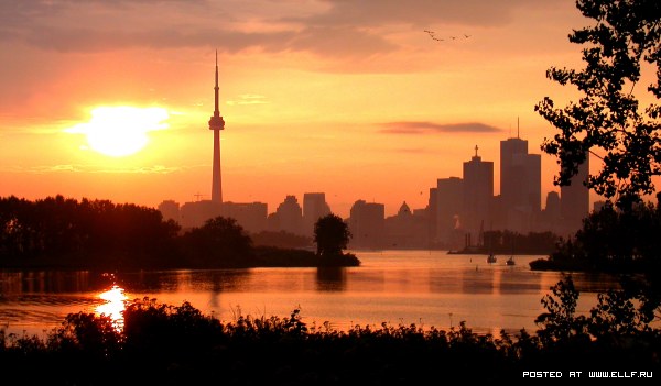 ������