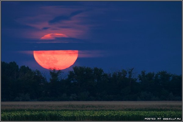 ������