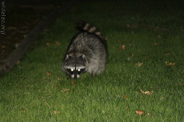 �����