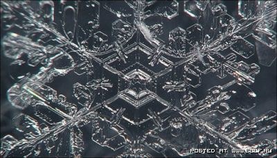 Снежинки под микроскопом
