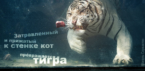 Мысли о жизни
