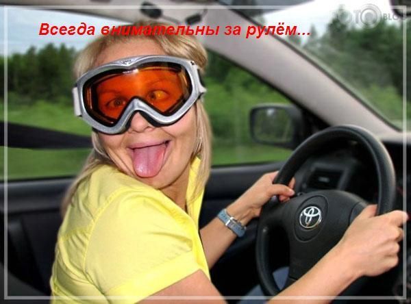 ������� � ��������