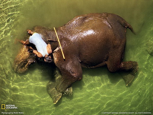 ������ ���� �� National Geographic