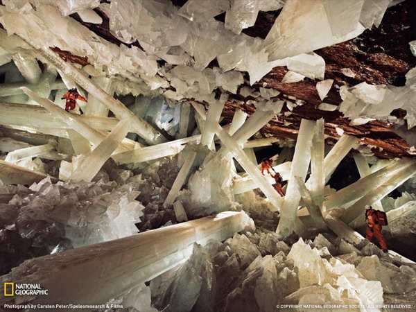 ������ ���� �� National Geographic