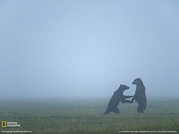 ������ ���� �� National Geographic