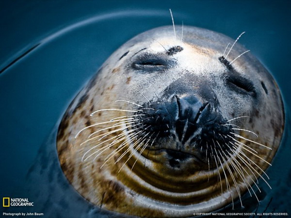 ������ ���� �� National Geographic