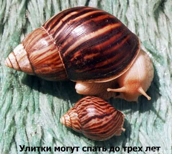 Интересное в картинках