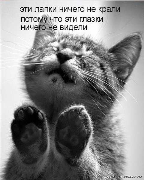 прикольные смайлики с надписями картинки онлайн прикольные смайлики с надписями картинки