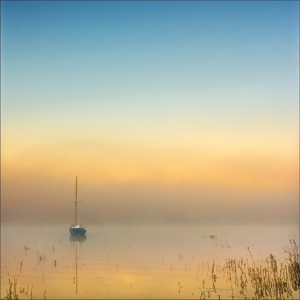 �������� Krzysztof Browko