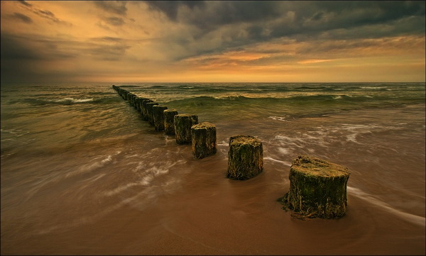 �������� Krzysztof Browko