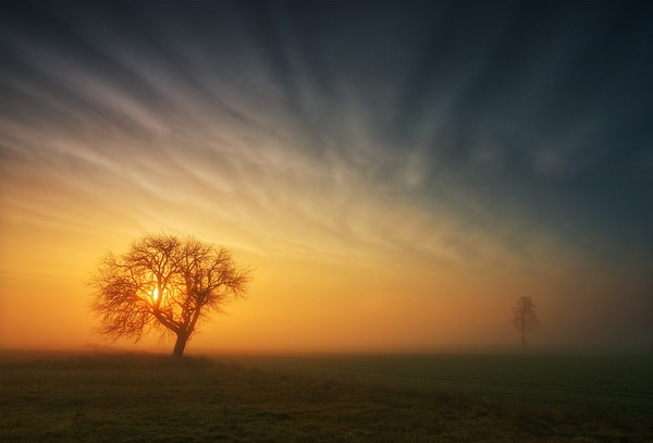 �������� Krzysztof Browko