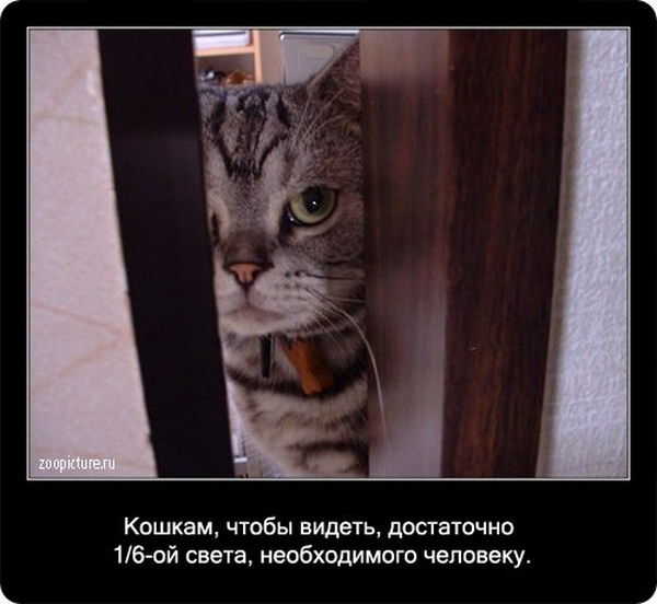 ����� ���������� ����� � ������
