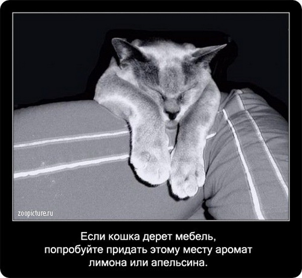 ����� ���������� ����� � ������