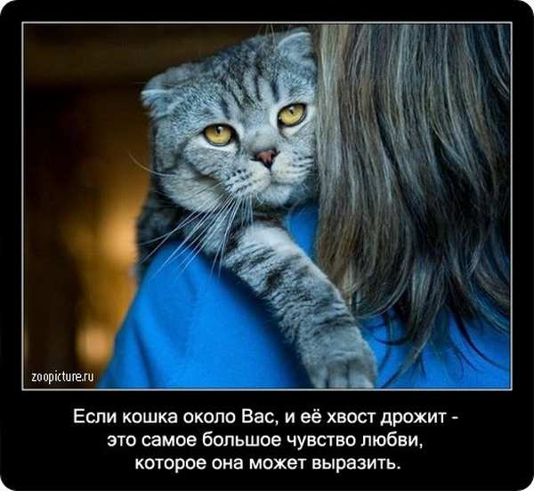 ����� ���������� ����� � ������