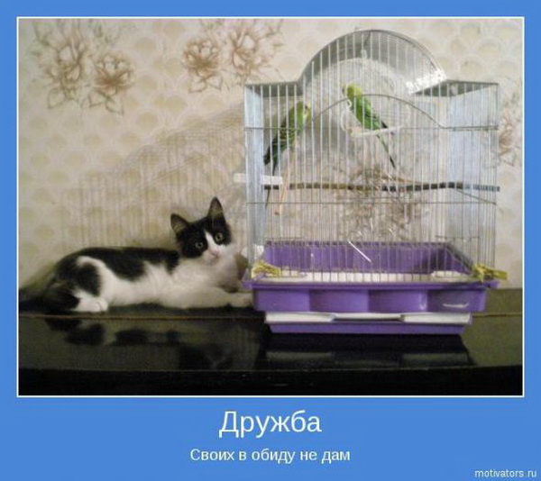 Мотиваторы
