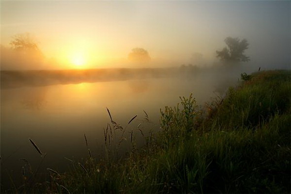 �������� Marek Kiedrowski