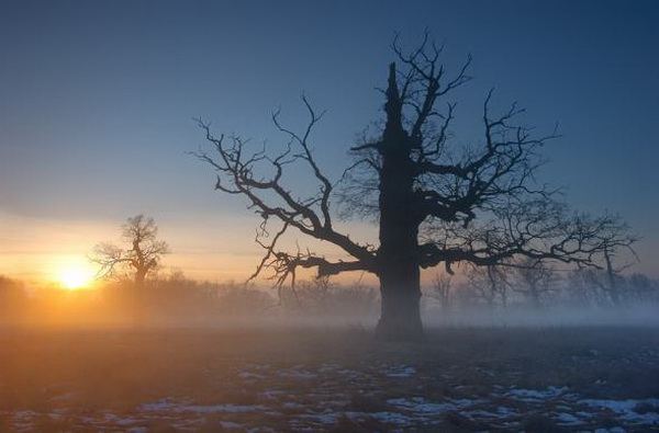 �������� Marek Kiedrowski