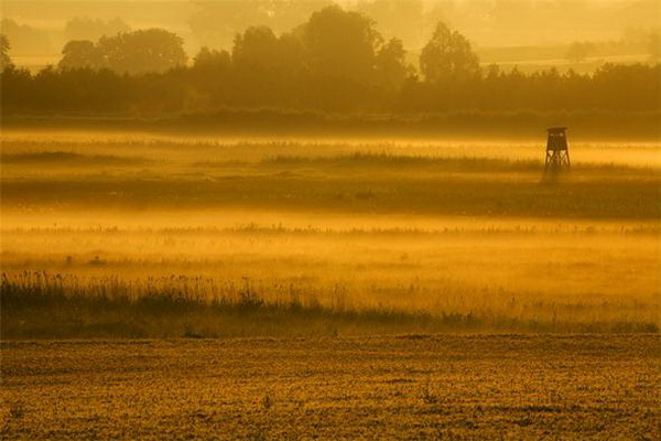 �������� Marek Kiedrowski