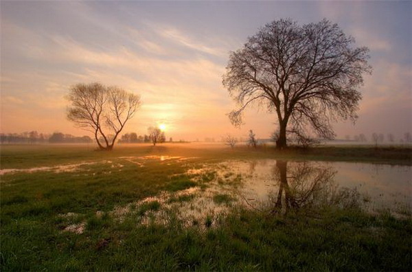 �������� Marek Kiedrowski
