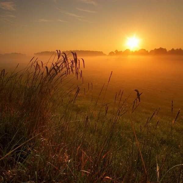 �������� Marek Kiedrowski