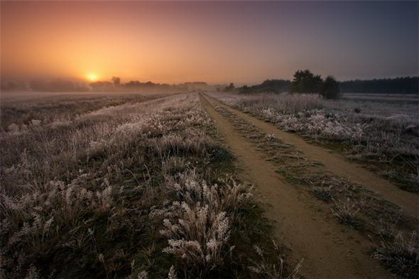 �������� Marek Kiedrowski