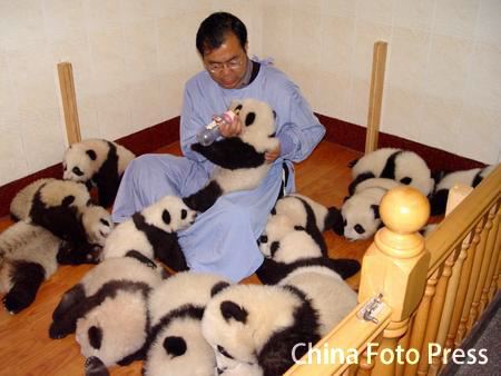 Детский садик для панд