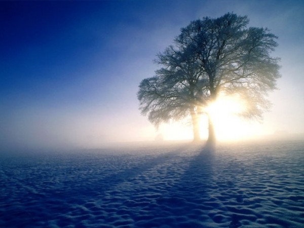 Природа