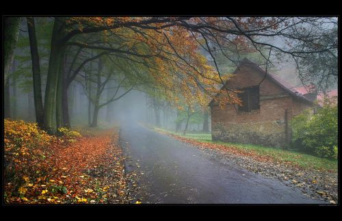 NATURE BY ROBERTMEKIS