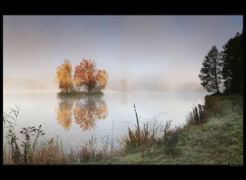 NATURE BY ROBERTMEKIS