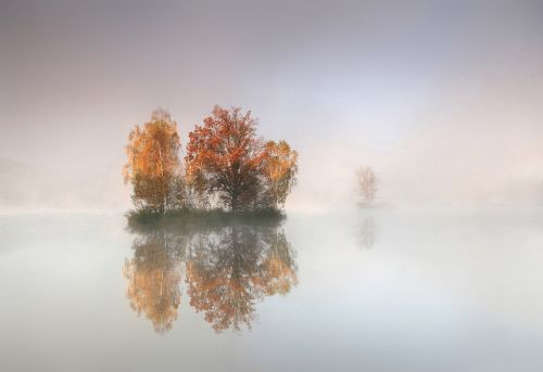 NATURE BY ROBERTMEKIS