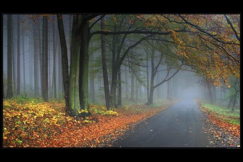 NATURE BY ROBERTMEKIS