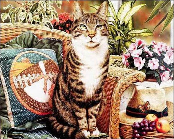 Рисунки котеек