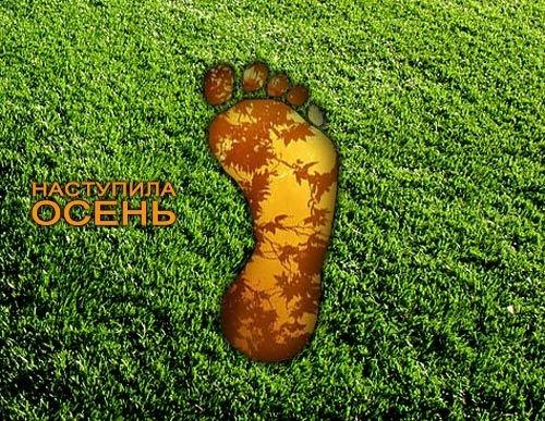 Интересный взгляд на обычные вещи