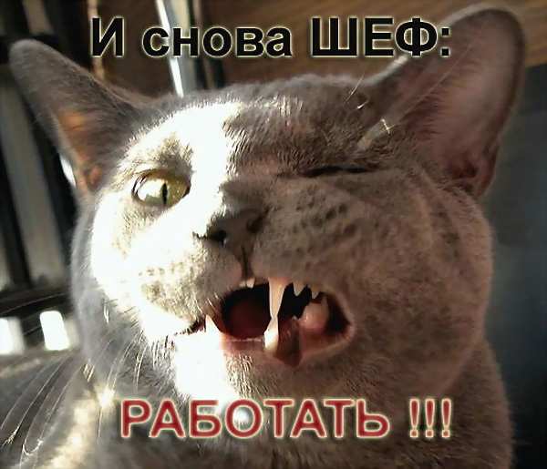 ������� ����